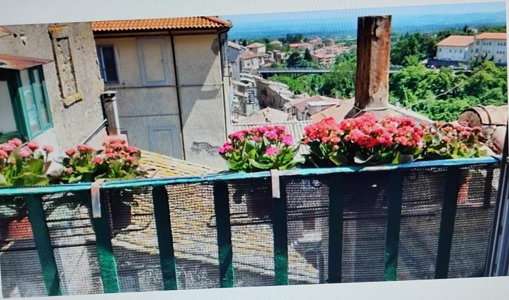 La Casa Del Sole Διαμέρισμα Caprarola Εξωτερικό φωτογραφία